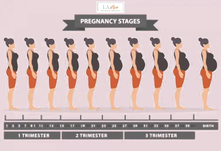 First Trimester (Weeks 1–12): Early Changes You Might Not Notice Leeds